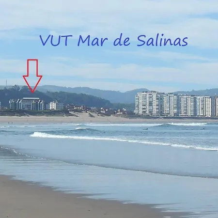 Con Vistas, Mar De Vut3883as Salinas (Castrillon)